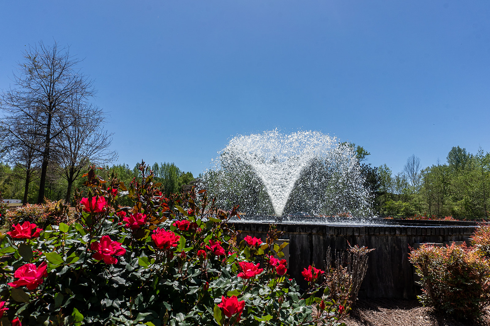 Women's Center of Athens - 4/12